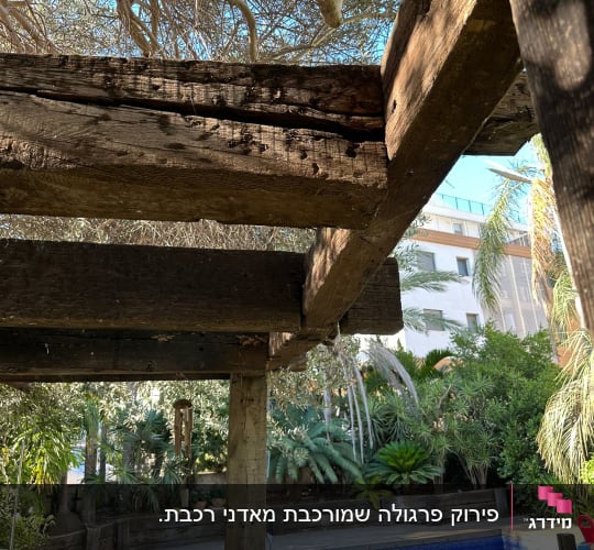 פרגולה מעץ מעל בריכה בגינה ירוקה